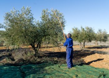Nueva línea de ayudas para fomentar el trabajo autónomo en Andalucía