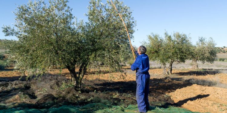 Nueva línea de ayudas para fomentar el trabajo autónomo en Andalucía