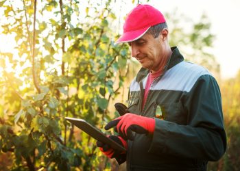 Asturias impulsa el cooperativismo: Nueva convocatoria de ayudas para socios trabajadores y de trabajo