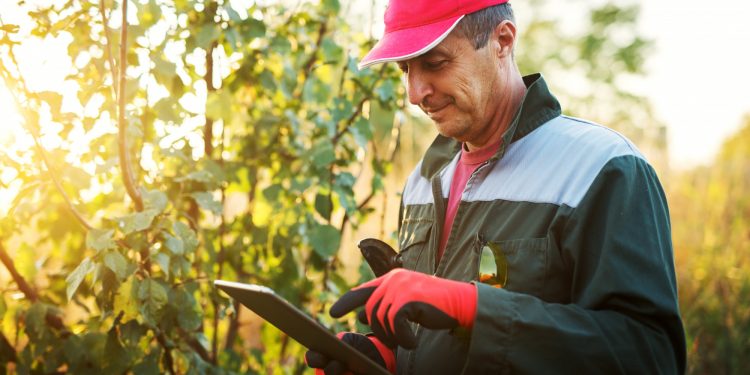 Asturias impulsa el cooperativismo: Nueva convocatoria de ayudas para socios trabajadores y de trabajo