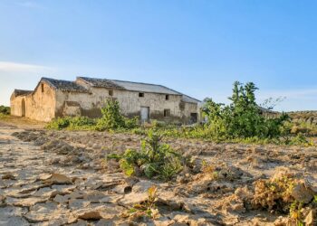 agricultura sequia ayudas