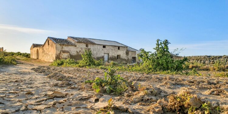 agricultura sequia ayudas