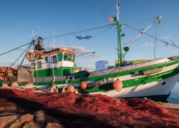 ayudas cofradias pescadores