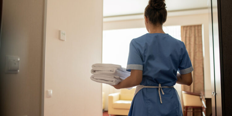 trabajador doméstico empleado del hogar