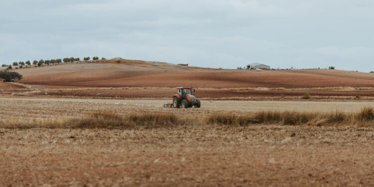 agricultura secano