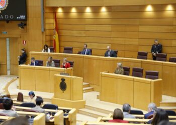 Una imagen del Senado