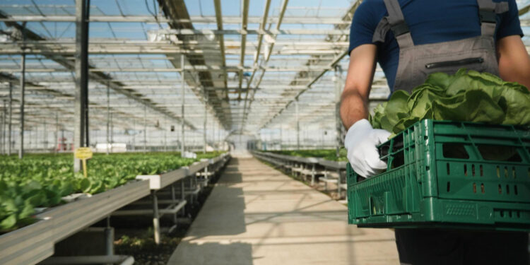 ayudas-pymes-alimentacion-agricultura-madrid