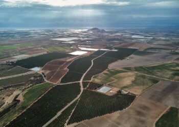 Murcia anuncia subvenciones de más de 6 millones de euros para proyectos de empleo agrario en 2024