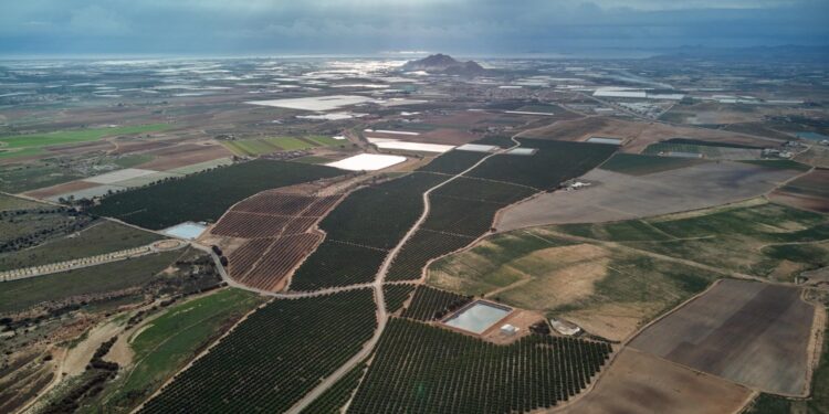 Murcia anuncia subvenciones de más de 6 millones de euros para proyectos de empleo agrario en 2024