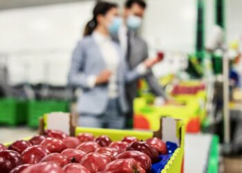 Navarra destina 12 millones de euros a las ayudas para industrias agroalimentarias en 2025