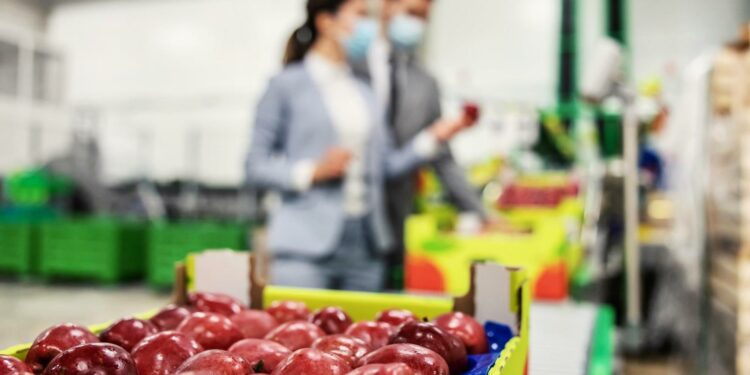 Navarra destina 12 millones de euros a las ayudas para industrias agroalimentarias en 2025