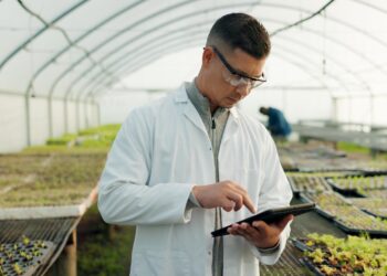 IFAPA ofrece contratos laborales indefinidos para técnicos e investigadores agrarios en Córdoba